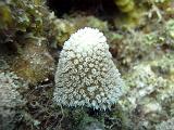 2011-09-14 00-37-10 Steven